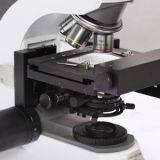 CLEANLINESS ANALYSIS EXPERT thumbnail-3