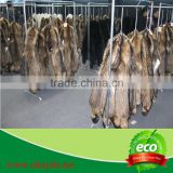 Whole Skin Racoon Fur Skin /Racoon Dog Fur Plate/Raw Racoon Fur Material
