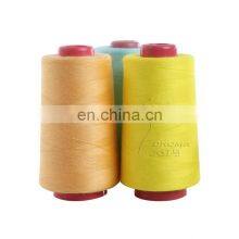 Yarn Dyed 100% Spun Polyester Sewing Thread Ne 603 With OEKO-TEX100 thumbnail-4
