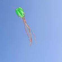 OEM All Shapes, Design and Kinds of Kites for Advertising and Activities Occasions