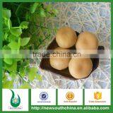 OEM Canned Food Brand Canned Mushroom in Brine With Good Price thumbnail-2