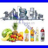 Complete Fruit Juice Production Line(Hot Sale) thumbnail-1
