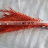 Orange peacock feather/peacock feathers for sale