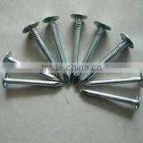 eg Coil Roofing Nails thumbnail-1