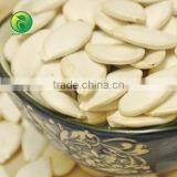 Snow White Pumpkin Seeds by the Pumpkin Seeds Machine thumbnail-1