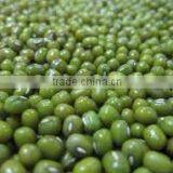 Organic Fresh Green Beans thumbnail-1