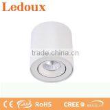 Modern White Adjustable Surface Mounted Ceiling Light