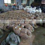 Black Annealed Iron Wire (BWG 12 16 18 20 21)1.6MM ISO 9001 thumbnail-3