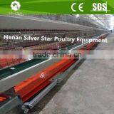 A Type Battery Broiler Chicken Cage/poultry Farm Automatic Chicken Cage for Sale thumbnail-3