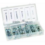 40 Piece Molly Bolt Assortment