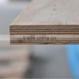 Profressional supplier of commercial plywood
