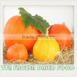 HOT SALES vegetable powder dried pumpkin