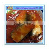 bulk sale 155g canned mackerel fish in tomato sauce(ZNMT0075)