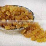 Sun Golden Raisin thumbnail-1