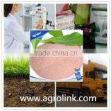 Amino Acid Powder Plant Source Organic Fertilizer Popular In Africa thumbnail-1