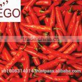 High Quality Fresh Spicy Chilli Vietnam Full Size thumbnail-3