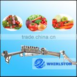automatic fresh vegetable and fruit cleaning machine/ leaf vegetable washing cleaning machine