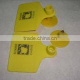 Ear Tag thumbnail-1