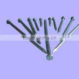 Common Nail thumbnail-1