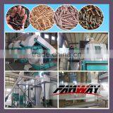 2 Ton per Hour Wood Sawdust Pellet Equipment for Sale With 6mm Diameter thumbnail-1