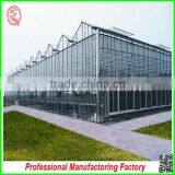 Durable Aluminium Profiles Venlo Polycarbonate Green House With High Quality and Best Service thumbnail-4