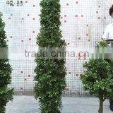 2016 Different Stlyes Environmental Topiary Frame Green Plastic Garden Decoration at Best Price in China thumbnail-1