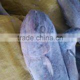 Frozen Mahi Mahi WR Frozen Fish Healthy Foods Trading thumbnail-1