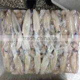 High Quality Whole Round Frozen Baby Squid for Sale thumbnail-5