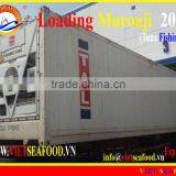 LOADING MUROAJI FOR TUNA BAIT thumbnail-1