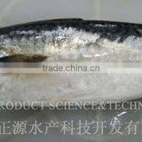 Smoked Mackerel thumbnail-1