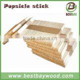 Popsicle Stick Stamp With Logo thumbnail-4