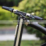 E-bike 36V 5.8Ah Folding Electric Bike