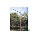 Distribution and Transmission Pole thumbnail-1