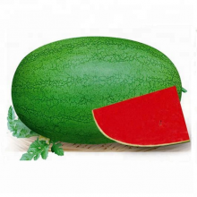 Big Pearl Light Green Hybrid Watermelon Seed thumbnail-4