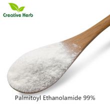 Palmitoylethanolamide(PEA) powder. Palmitoylethanolamide 99%
