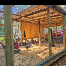 Cerca de alambre de púas galvanizada para gallinas enrollada con tamaño de malla de 2 pulgadas thumbnail-3