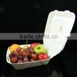 Hot Biodegradable Bagasse Box