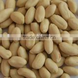 Chinese Peanut Kernel without Skin