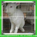 Professional Manufacture Rabbit Cage for Poultry Farm Shed thumbnail-1