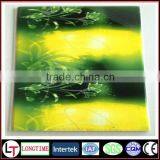 Pvc Ceiling Panel for House Decoration