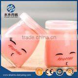 Fancy Pudding Glass Bottles Mini Glass Bottle With Plastic Lid