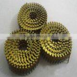 Best Price Coil Nails Factory in Guangzhou thumbnail-3