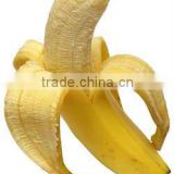 ISO9001/HACCP/Kosher/Halal Banana Powder