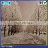 Fiber Optic Pictures Light up Canvas Islamic Wall Pictures , Home Plants Decoration