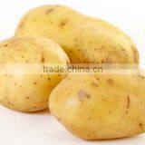 Potatoes 012