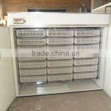 Best Selling Chicken Incubatore WQ-5280