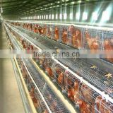 Made in China broiler feeding equipment design layer chicken cages