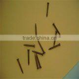 1/2"-13" High Quality Common Nails/ Stainless Steel Nail thumbnail-5