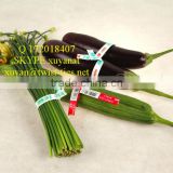12" vegetable twist tie/agriculture use twist ties