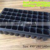 Deep Forest Seed Growing Tray, Tree Seed Propagator thumbnail-1